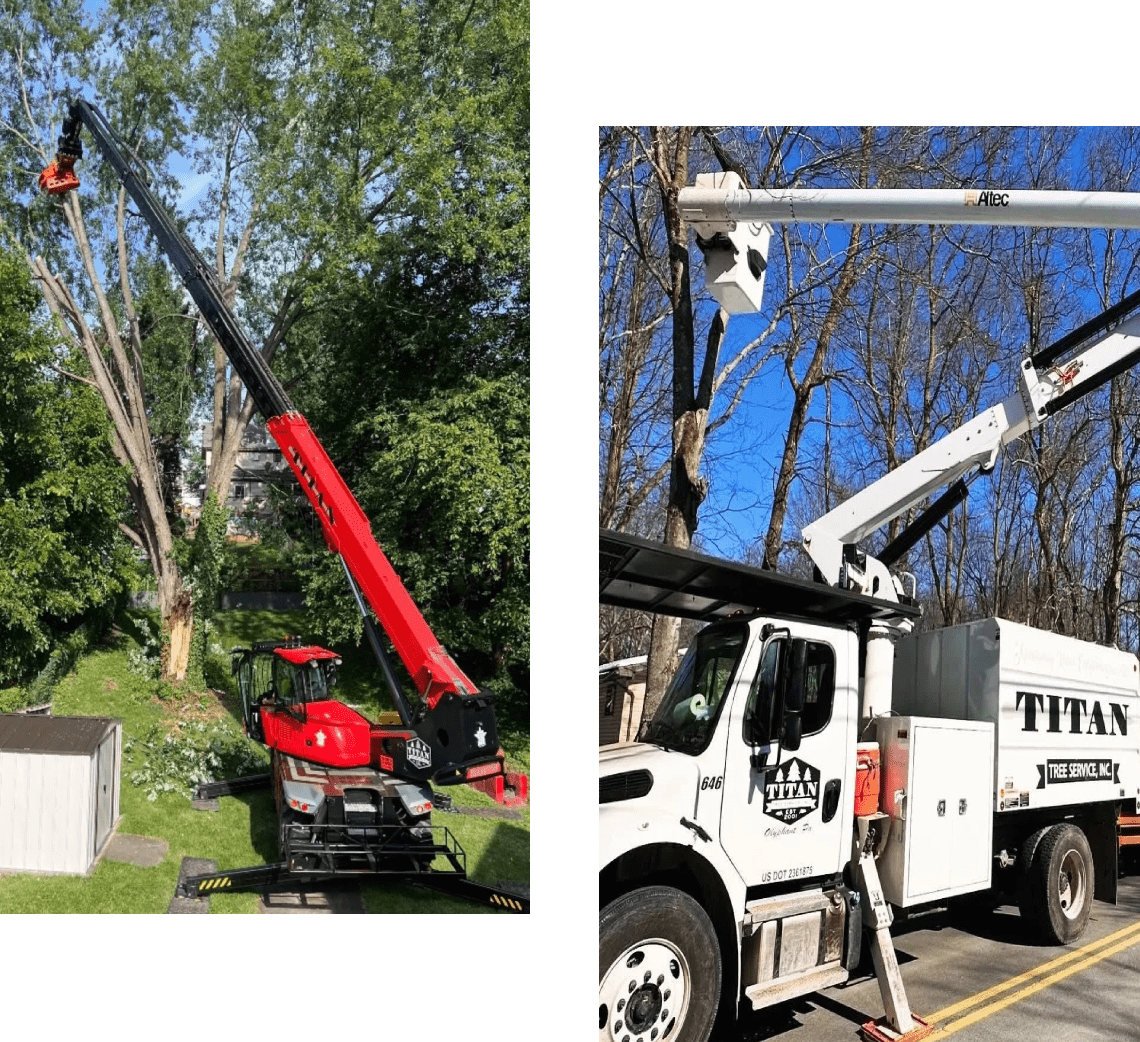 highlight-14-v1_highlight-14-v1_image (1) (1) (1)